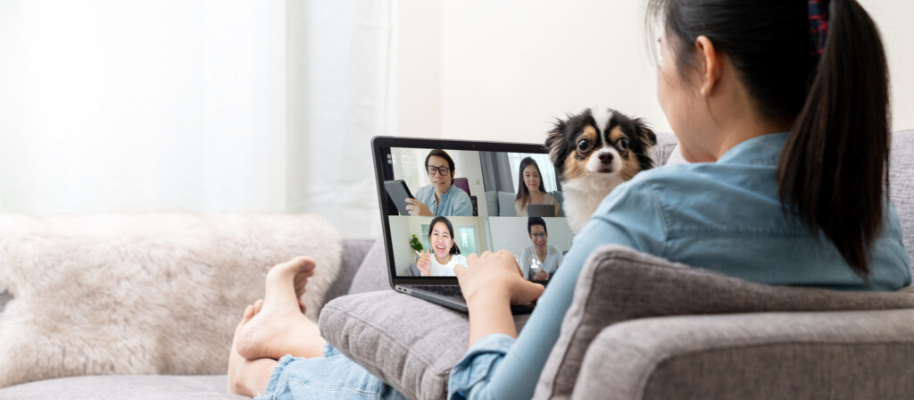 Woman seated on sofa working on laptop, pet dog staring at woman